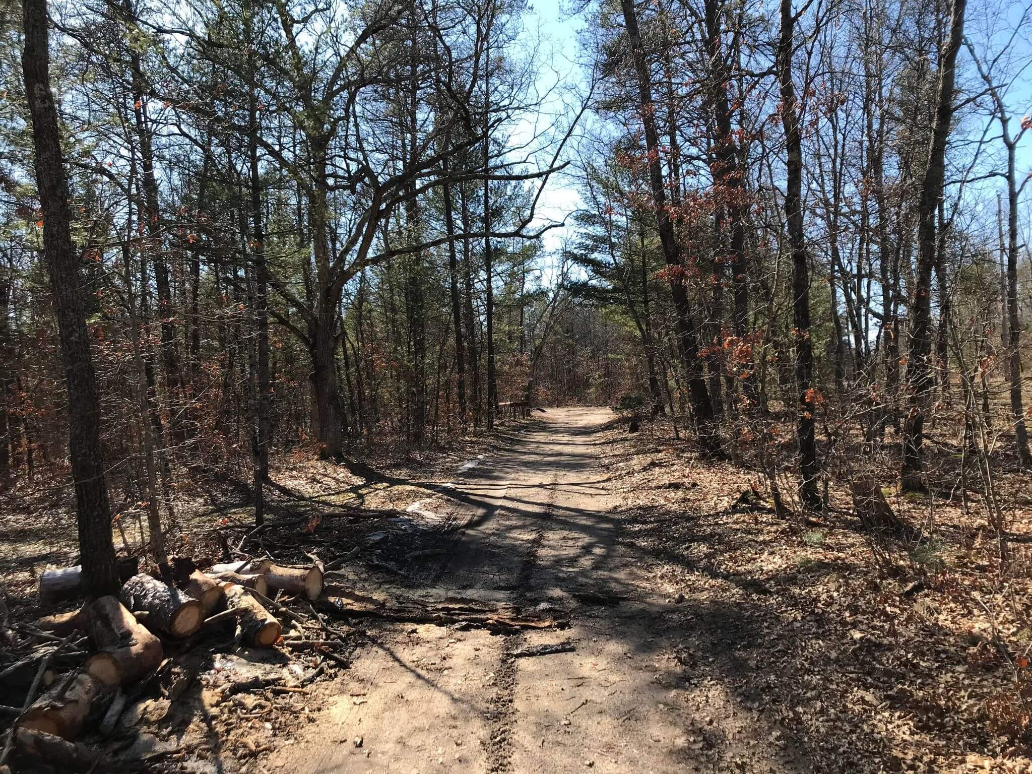 Wooded ORV trail