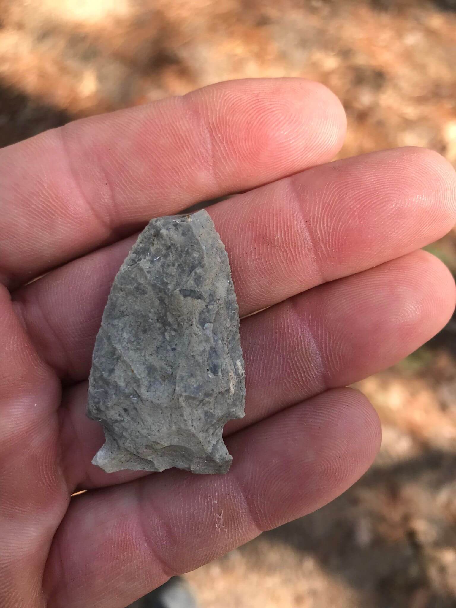 A found rock