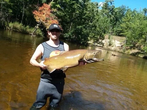 A fish caught in a river