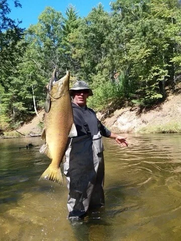 Large fish caught near camp