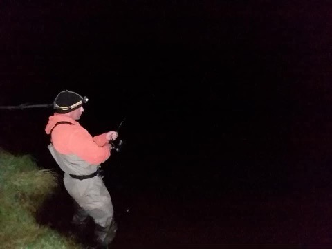 Night fly fishing
