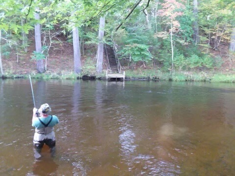 Fly fishing in a river