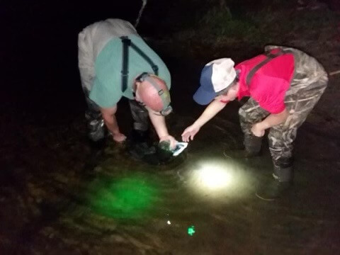 Two fisherman at night